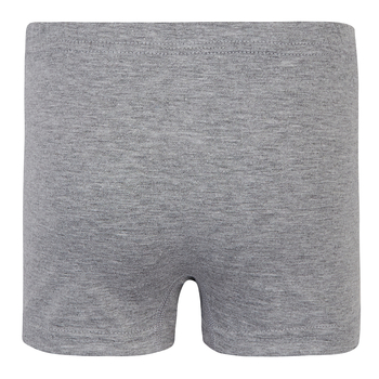 Труси-боксери Garnamama Basic boxer briefs boy 110-116 Серый (830969.1190121) - Pampik - 2