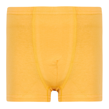 Труси-боксери Garnamama Basic boxer briefs boy 98-104 Желтый (830986.1190125) - Pampik