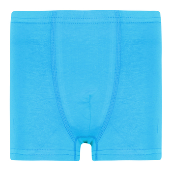 Труси-боксери Garnamama Basic boxer briefs boy 98-104 Голубой (883573.1190126) - Pampik