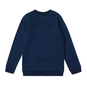 Реглан Garnamama Sleeves малюнок 98 Синий (839245.11930317) - Pampik - 2