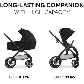 Універсальна коляска 2 в 1 Hauck Walk N Care Air Black (16547-8) - Pampik - 6