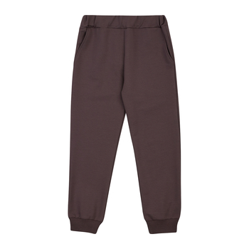 Спортивні штани Garnamama Season 2025, р.176, коричневий (1051117.1417283) - Pampik