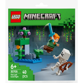Конструктор LEGO Minecraft Бой в пещере с зарослями, 40 деталей (30705) - Pampik