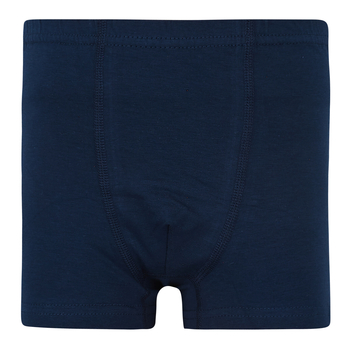 Труси-боксери Garnamama Basic boxer briefs boy 158-164 Синий (830991.1190124) - Pampik