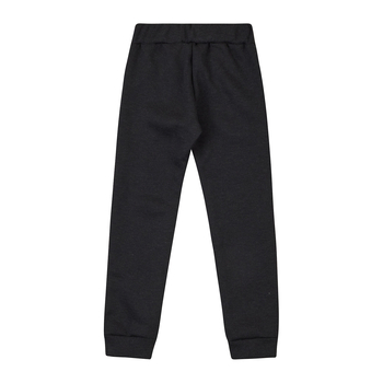 Спортивні штани на флісі Garnamama Pants girl Butterflies 110 Серый (954630.1312411) - Pampik - 2