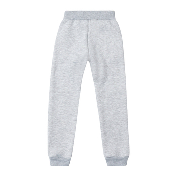 Спортивні штани на флісі Garnamama Basic Pants soft 98 Серый (657221.904261) - Pampik - 2