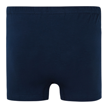 Труси-боксери Garnamama Basic boxer briefs boy 110-116 Синий (830987.1190124) - Pampik - 2