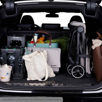 Прогулянкова коляска ABC Design Ping 3 Travel Pine (12004972302) - Pampik - 12