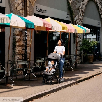 Прогулянкова коляска ABC Design Ping 3 Trekking Falcon (12004982501) - Pampik - 12