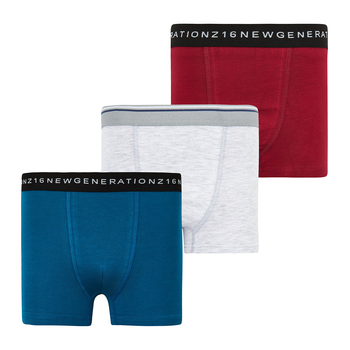 Труси-боксери Ляля К12СК113 152-158 Неопределен (814868.1171374) - Pampik