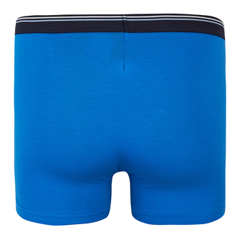 Труси-боксери Ляля К12СК113 98-104 Неопределен (1025626.1171374) - Pampik - 8