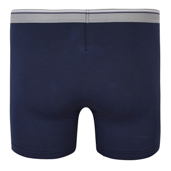 Труси-боксери Ляля К12СК113 110-116 Неопределен (1025625.1171374) - Pampik - 5