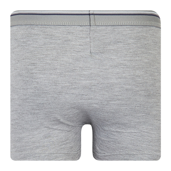 Труси-боксері Ляля К12СК113 122-128 Блакитний Сірий Чорний (899390.1056855) - Pampik - 6