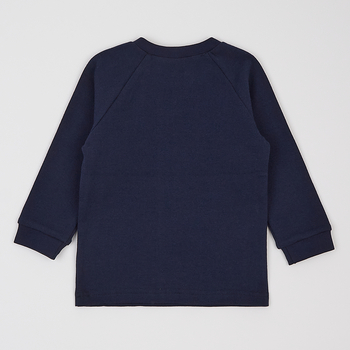 Реглан Ляля 3ІН124 86 Синий (639442.815911) - Pampik - 2