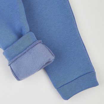 Спортивні штани на флісі Ляля 10ТФ138 98 Голубой (960293.1318013) - Pampik - 5