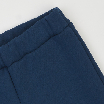 Спортивний костюм на флісі Ляля К2ТФ101 92 Синий (965948.11239010) - Pampik - 3