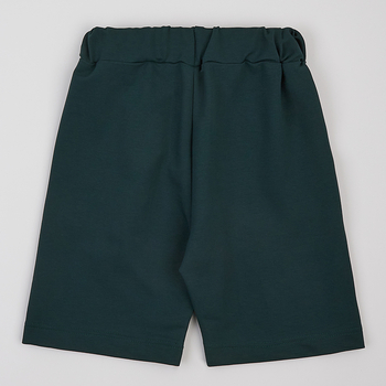 Шорти Ляля 7ДВ120 134 Зеленый (1057104.1421951) - Pampik - 2