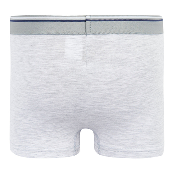 Труси-боксери Ляля К12СК113 146-152 Неопределен (814867.1171374) - Pampik - 14