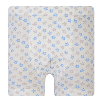 Труси-боксери Ляля 12СК114 110-116 Молоко (1025295.1390861) - Pampik