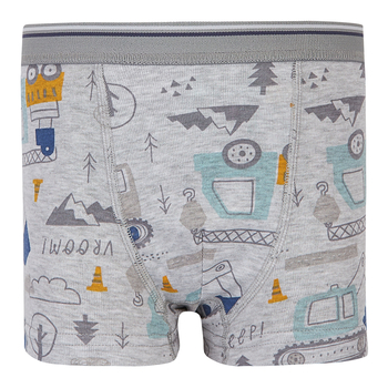 Труси Ляля 12БК115 110-116 Сірий (1029619.1395561) - Pampik