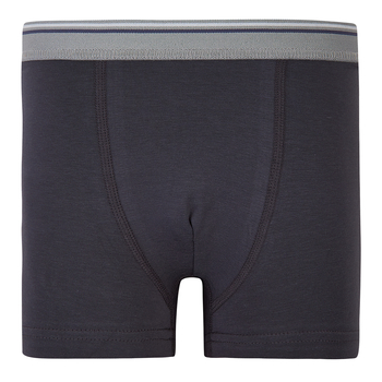 Труси-боксери Ляля К12СК113 134-140 Неопределен (1025620.11713712) - Pampik - 4