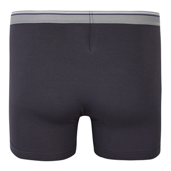 Труси-боксери Ляля К12СК113 134-140 Неопределен (814866.1171374) - Pampik - 11