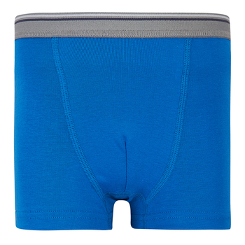 Труси Ляля 12БК115 98-104 Синий (1029626.1395562) - Pampik