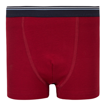 Труси Ляля 12БК115 98-104 Бордовий (1029618.1395564) - Pampik