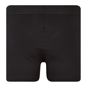 Труси-боксери Ляля К12СК113 146-152 Голубой Серый Черный (899393.1056855) - Pampik - 9