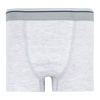 Труси-боксери Ляля К12СК113 152-158 Неопределен (814868.1171374) - Pampik - 13