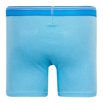 Труси-боксери Ляля 12Б20 134-140 Голубой (665420.17759) - Pampik - 2