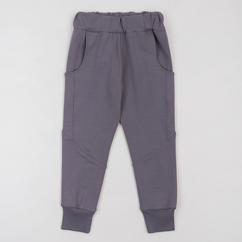 Спортивні штани Ляля 10ДВ127 116 Сірий (1051452.1059124) - Pampik