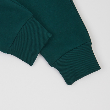 Спортивний костюм на флісі Ляля К2ТФ101 104 Зелений (1026177.11239017) - Pampik - 8