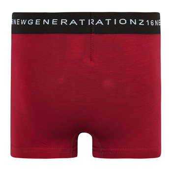 Труси-боксери Ляля К12СК113 134-140 Неопределен (814866.1171374) - Pampik - 12