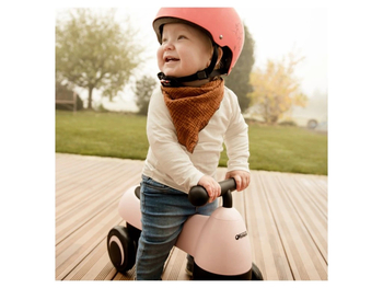 Велобіг Hauck 1st Ride Four Matt Pink, рожевий (80402-9) - Pampik - 10