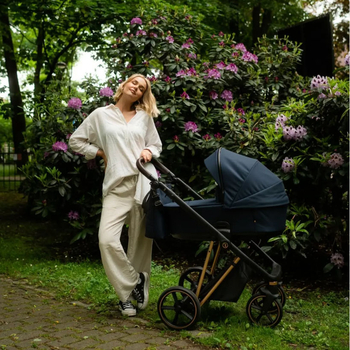 Універсальна коляска 2в1 Roan Ivi Mystic Blue Rose Gold 2.0 (R-I-MBG) - Pampik - 7