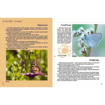 Енциклопедія для допитливих. Комахи та інші - Жабська Т. С. - Pampik - 5