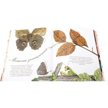 Арт-енциклопедія для дітей. Метелик неквапливий - Астон Гуттс Діанна - Pampik - 6