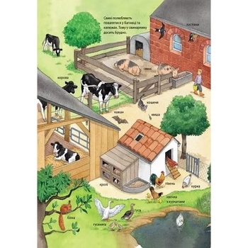 Моя перша мальована енциклопедія. Тварини - Сюзанне Генхойзер (Ч783001У) - Pampik - 5