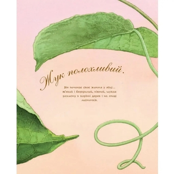 Арт-енциклопедія для дітей. Жук полохливий - Астон Гуттс Діанна - Pampik - 2