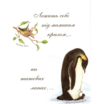 Арт-енциклопедія для дітей. Яйце безмовне - Астон Гуттс Діанна - Pampik - 5