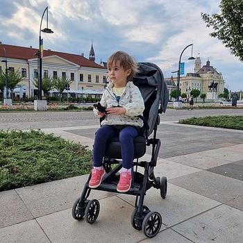 Прогулянкова коляска Combi CFS 117662, сірий + сумка-чохол у подарунок (29287) - Pampik - 7