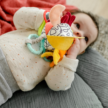 М'яка розвиваюча іграшка-підвіска Fehn DobabyDoo М'яч (4001998049152) - Pampik - 4