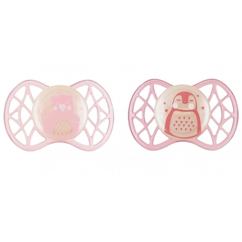 Силіконова симетрична пустушка Nuvita Air55 Explorer Ведмежа та Пінгвін, 0+ міс., 2 шт. (NV7067GF) - Pampik