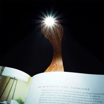 Уцінка. Закладка-ліхтарик Flexilight Класика Дерево (FLWO) - Pampik - 7