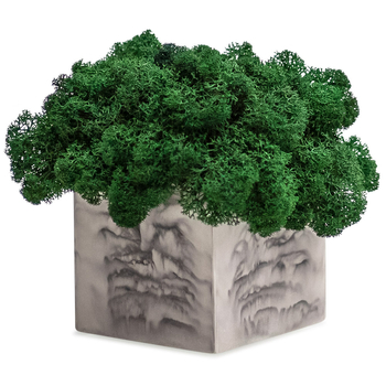 Декор Gray Marble Moss квадратний - Pampik