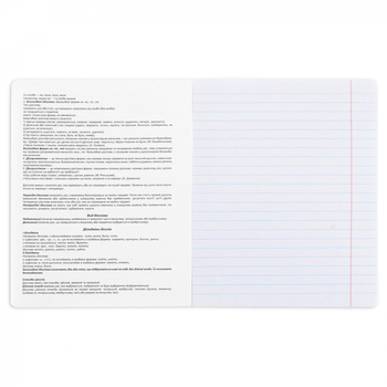 Зошит предметний YES Anime Українська мова А5, 48 лінія (767479) - Pampik - 4