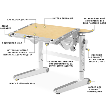 Дитячий стіл Mealux Ergowood L Multicolor MG (арт. BD-810 MG/MC) - Pampik - 3