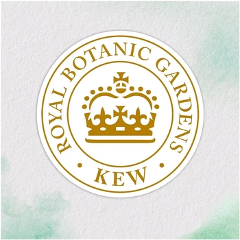 Бальзам-ополіскувач Herbal Essences Марокканська арганова олія, 275 мл - Pampik - 4