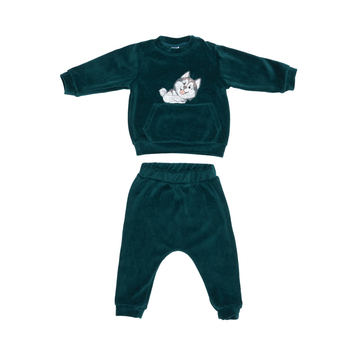 Костюм велюровий Twins з вишивкою Котик та Собачка, р.74, зелений (W-120-КWKS74-06) - Pampik